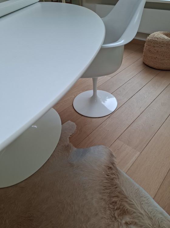 Knoll Saarinen Eclips 198x 121 – Eettafels, lamine (photo 3 of 7)