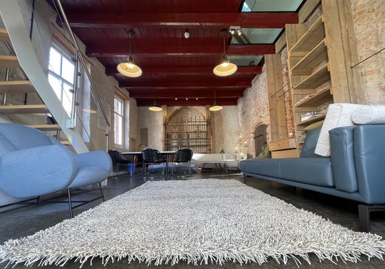 Image 1 of Brink e Campman Jazz Lush Carpet Storm Nuovo