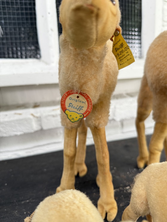 Image 1 of Zeldzame Steiff kameel familie – 5 stuks – met originele labels – ca. 1960/70