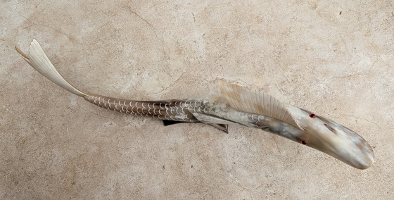 Image 1 of Grote vis creatie in buffelhoorn.