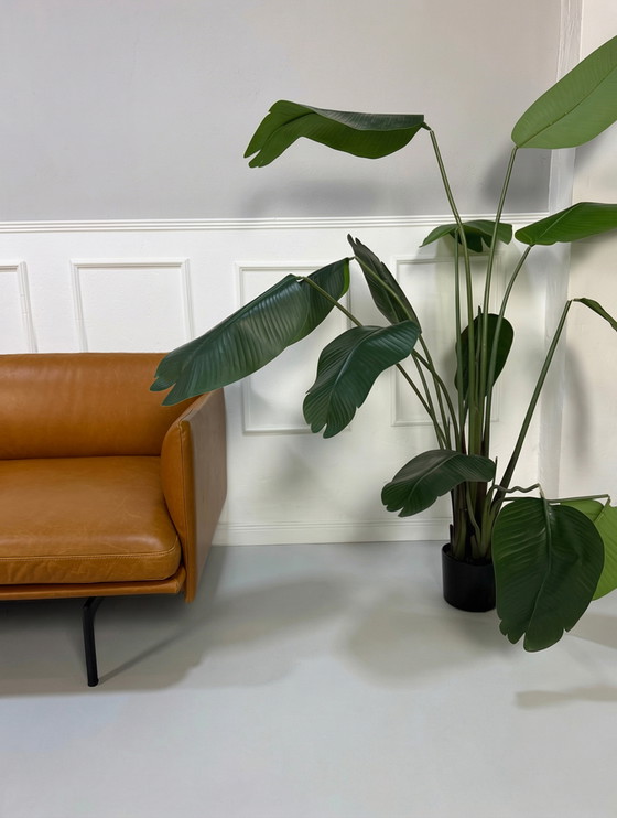 Image 1 of Muuto Modell Outline Sofá 2 Sitzer Leder Braun Cognac