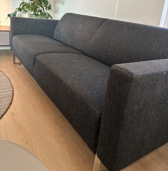 Image 1 of Artifort Mare 2.5-seater