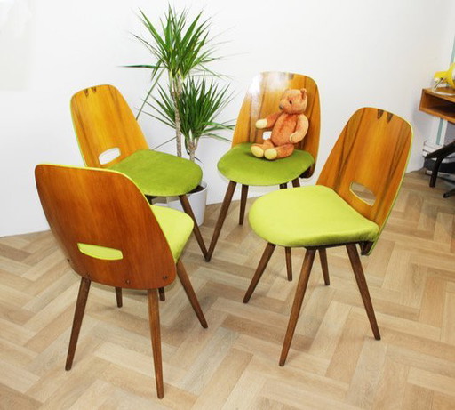 4x Chaises Tatra "Spring Grass" (herbe de printemps)