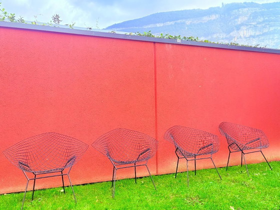 Image 1 of Poltrone Bertoia