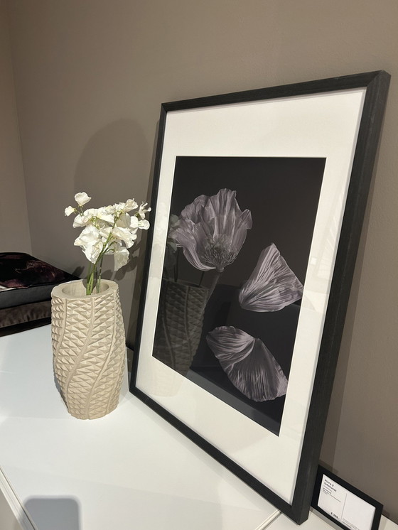 Image 1 of Boconcept - Fauna 2 Art Gallery