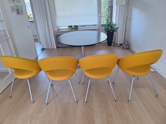 Image 1 of 4 Nina dining chairs Artifort, price is per piece