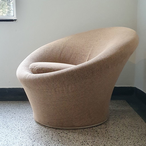 Sillón hongo Artifort