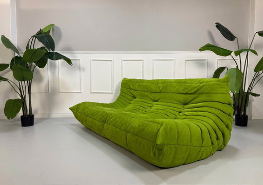 Ligne Roset Ensemble Canapé Design Togo Alcantara Vert