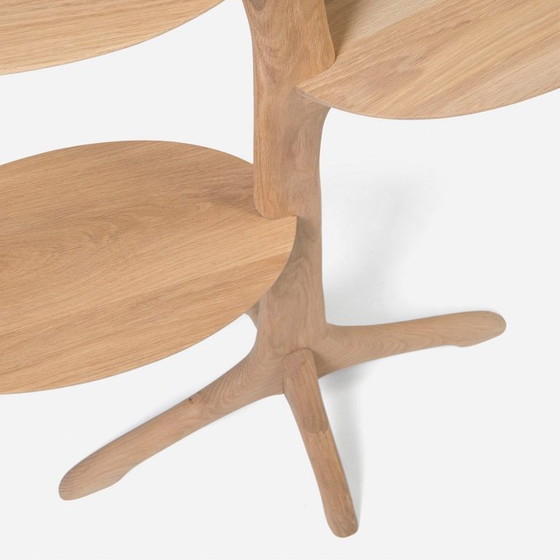 Image 1 of Meyer von Wielligh - Libreria Leaf