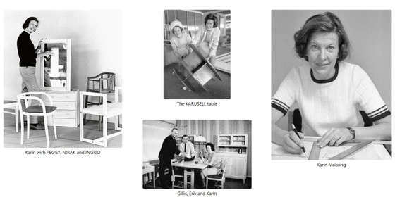 1 Diana Armchair by Karin Mobring, 1972 – Ikea, Canvas, Wood (photo 6 of 7)
