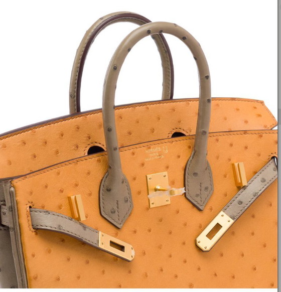 Image 1 of Sac HERMES Birkin 25 en Cuirs exotiques Marron - 103410