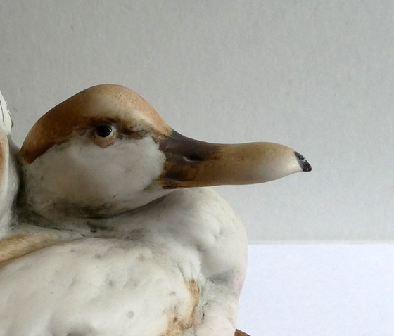 Image 1 of Figura de una pareja de ánades reales, diseñada por Giuseppe Armani, cerámica pintada a mano, base de roble.