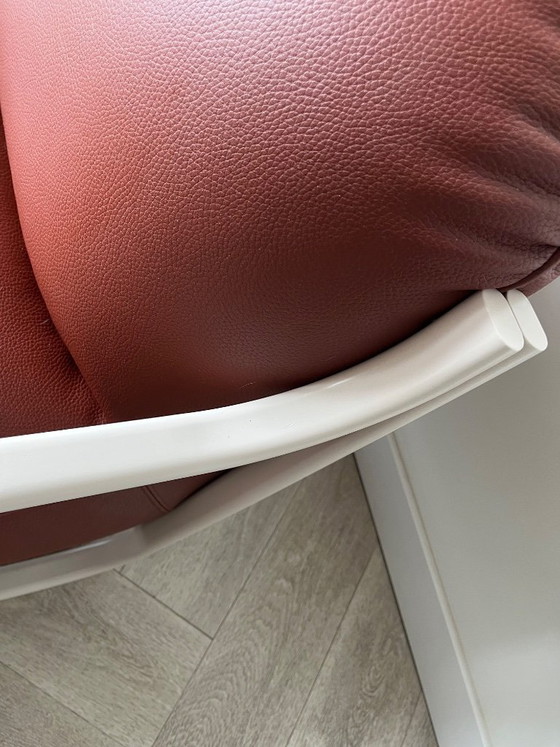 Image 1 of Chap Pode di Leolux in pelle