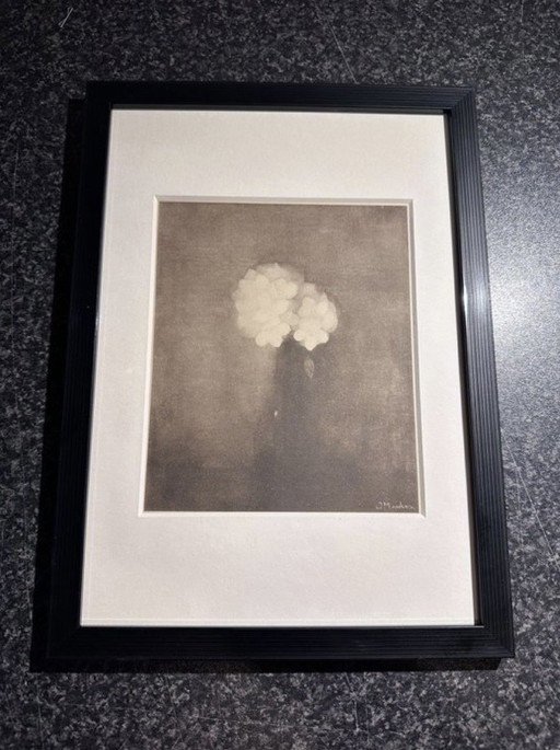 Jan Mankes 1889-1920 / Originele Heliogravure Vaas met Jasmijn 1923