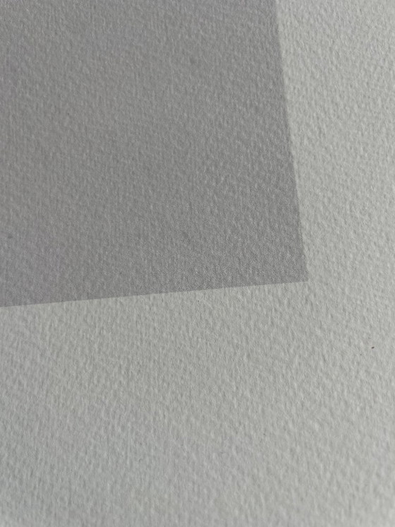 Image 1 of Franz Marc (1880-1916), Elefant, 1907, Printed in Italy 