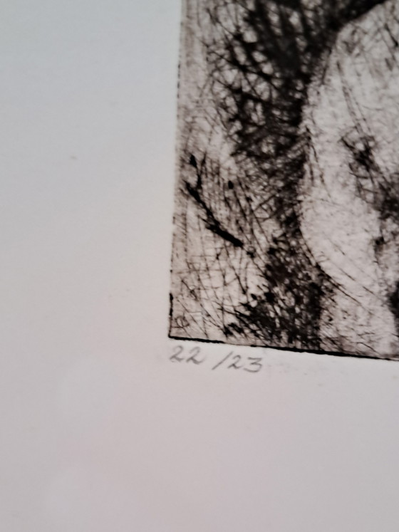 Image 1 of Originalradierung Marieke Bikkers (2001) – Limitierte Auflage 22/23 – Gerahmt 30x30 cm
