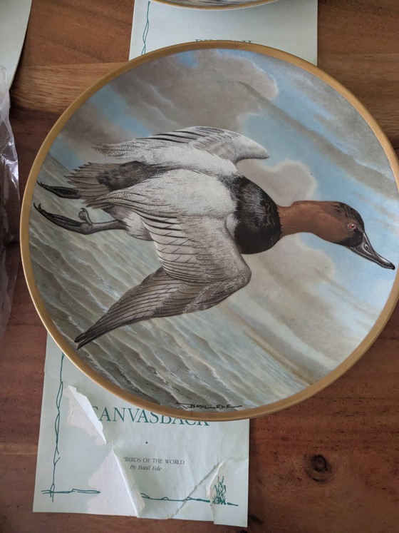 Image 1 of Basil Ede Oiseaux d'eau du monde, ensemble de 12 pièces avec système de suspension