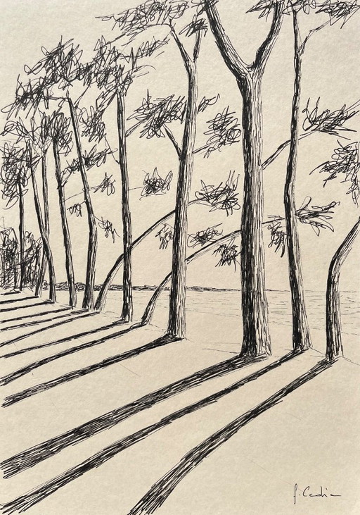 Encre sur papier naturel Format 30x21cm. 