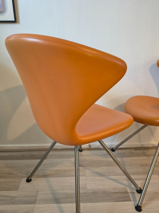 Image 1 of 6 sedie di design italiane Tonon Concept 902🟠