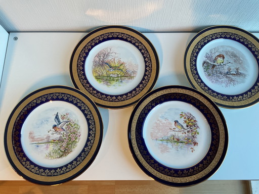 Juego de platos de porcelana