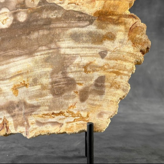 Image 1 of Madera fosilizada de Sooka, estándar a medida (nuevo)