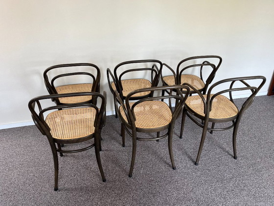 Image 1 of 6x Thonet 214f ​​​​​​Stoelen
