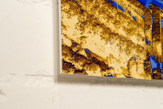 Image 1 of Eiffel Tower with the Champ-de-Mars in Duo Color - Paris 2017