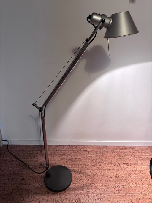 Artimide Tolomeo alogena dark light