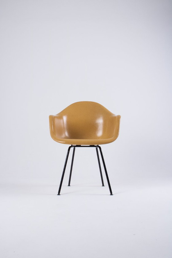 Image 1 of Paire de DAX Eames en fibre de verre – Light Ocre – Herman Miller / Vitra – circa 1965-1975