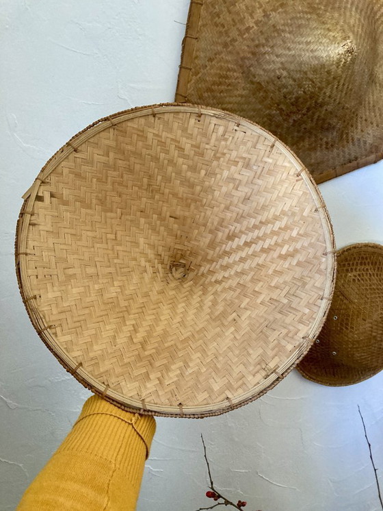 Image 1 of Colección de 7 sombreros tradicionales vietnamitas