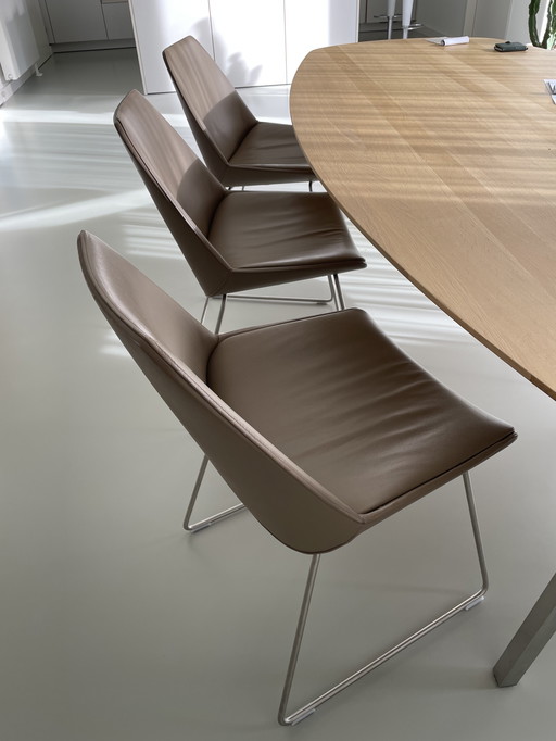 4 sedie da pranzo in pelle Bree's New World