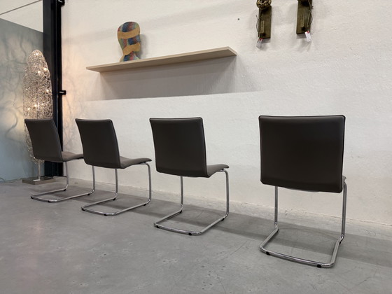 Image 1 of 4 Leolux Freyr dining chair Wapiti Triel