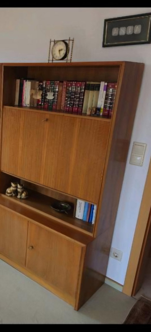 Mid-century wall unit, living room wall unit in Scandinavian design