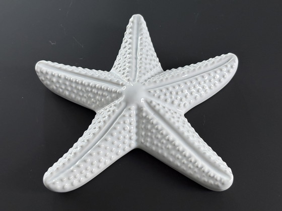 Image 1 of Stella marina decorativa in ceramica bianca smaltata
