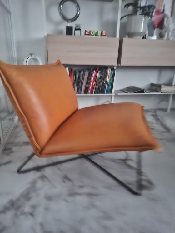 Image 1 of Earl armchair by Jess Design