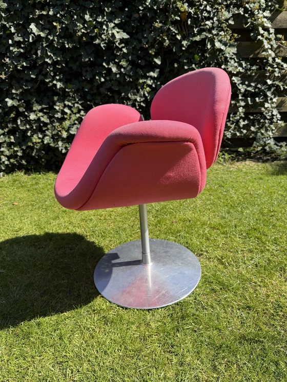 Image 1 of Little tulip Artifort (pink)