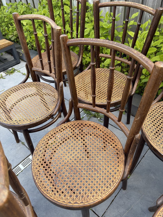 Image 1 of 8 vintage Thonet stijl bistro stoelen Romania webbing zitting