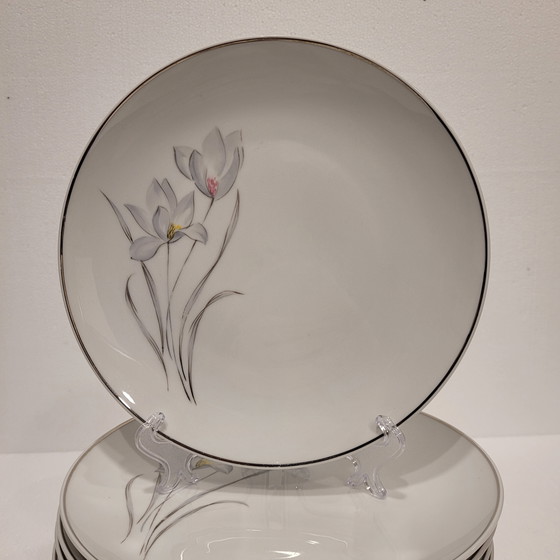 Image 1 of Vajilla de Porcelana Flores, Eschenbach, 55 Piezas, 50’s - Alemania