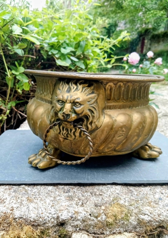 Gran maceta de latón con leones, siglo XIX – Brass, Art Nouveau (photo 5 of 5)