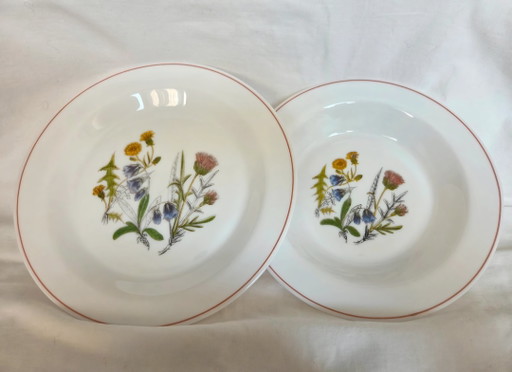 12-Piece Plates (6 + 6), Opal Glass/Milk Glass – servies, Porcelain (photo 2 of 9)