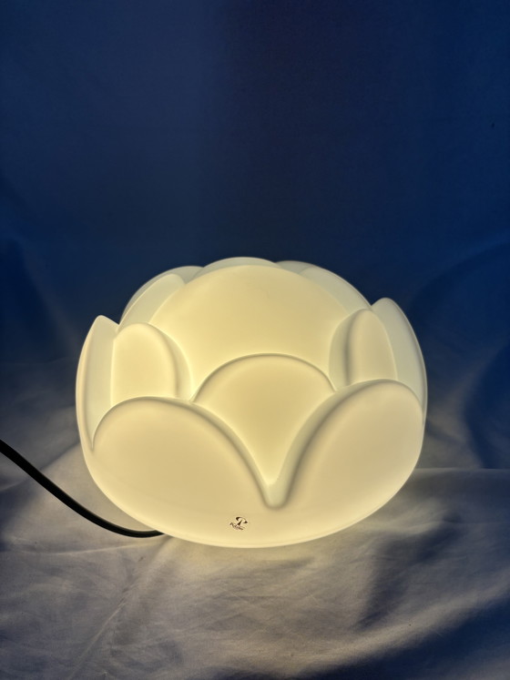Image 1 of Peill und Putzler Seerose Artichoke ceiling lamp or table lamp