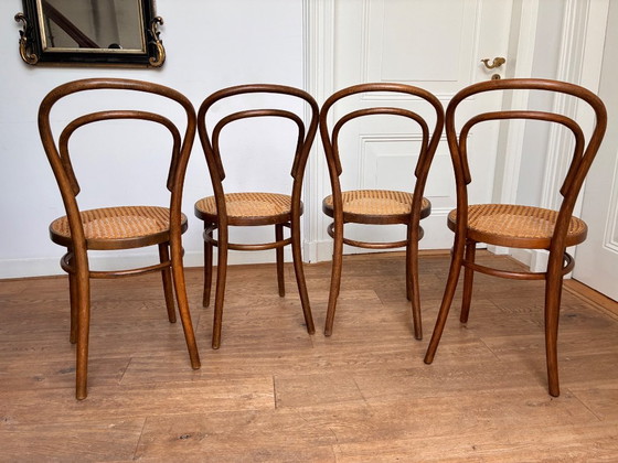4x Thonet no 14 style chairs with excellent webbing seat, ZPM Radomsko, Dining chairs, Rattan, Wood, Beige (photo 7 of 10)