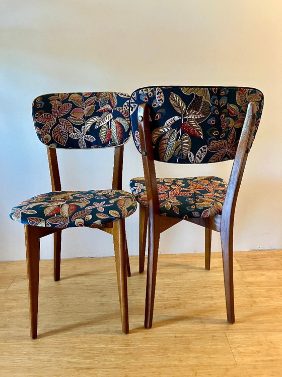 Image 1 of Coppia di sedie vintage "The Botanicals"