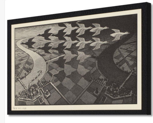 M.C. Escher - Bird Flight