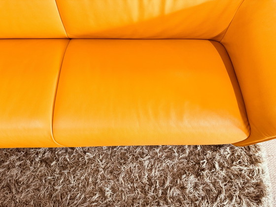 Leolux Mayon 3-Sitzer Sofa – 3-5 Sitzer Sofas, Leder (photo 8 of 10)