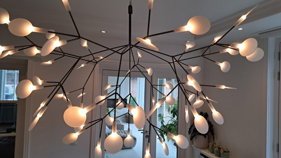 Image 1 of Hängeleuchte Moooi Heracleum III Klein Nickel