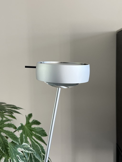 Occhio Sento Lettura NV 160