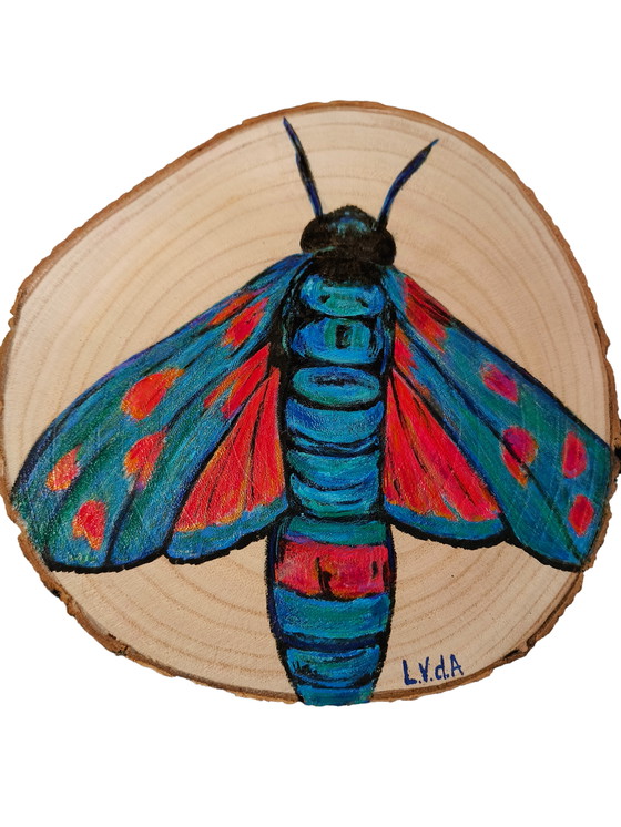 Image 1 of Disco de madera de tronco de árbol con mariposa de colores pintada