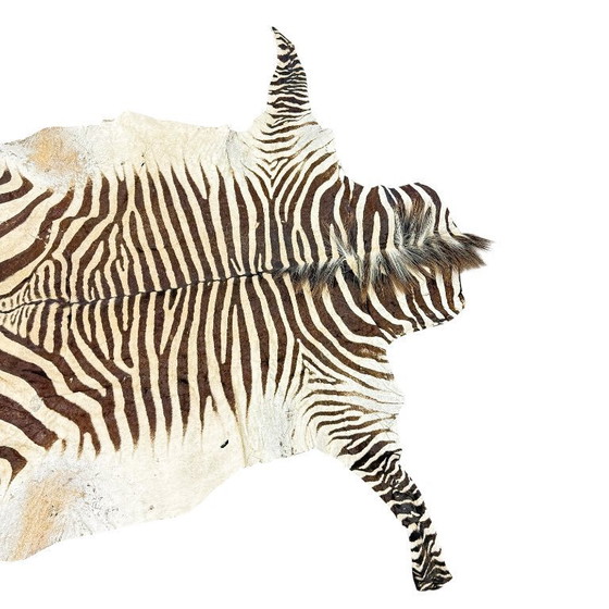 Image 1 of Tappeto vintage in pelle di zebra – autentica pelle di animale africano – oggetto decorativo per interni