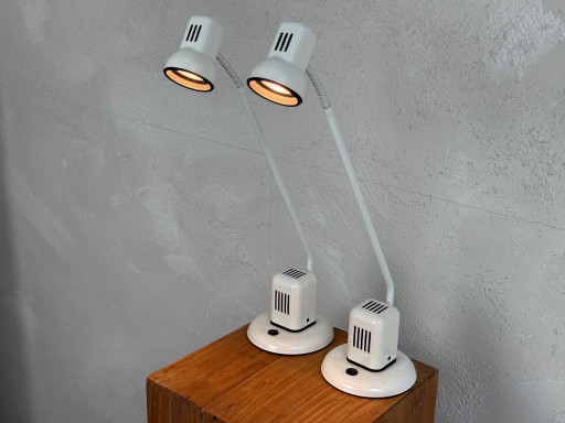 Set di 2 lampade da scrivania flessibili di Vrieland, anni '80.